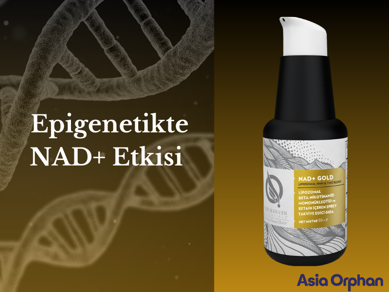 Epigenetikte NAD+ Tedavisi